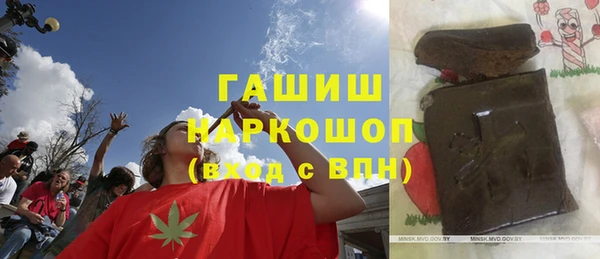 гидра Переславль-Залесский