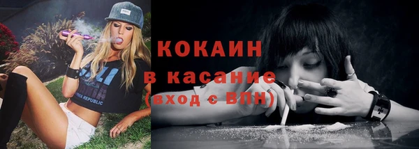 дживик Арсеньев