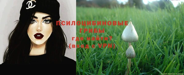 мяу мяу мука Аркадак