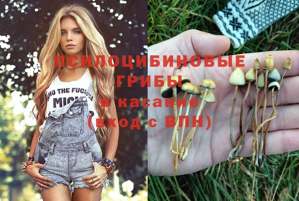 мяу мяу мука Аркадак