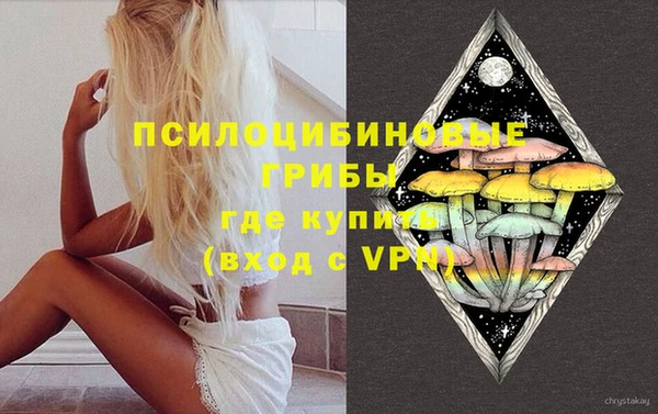дживик Арсеньев