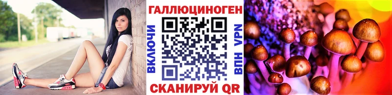 mega сайт  закладка  Ступино  Галлюциногенные грибы Cubensis 